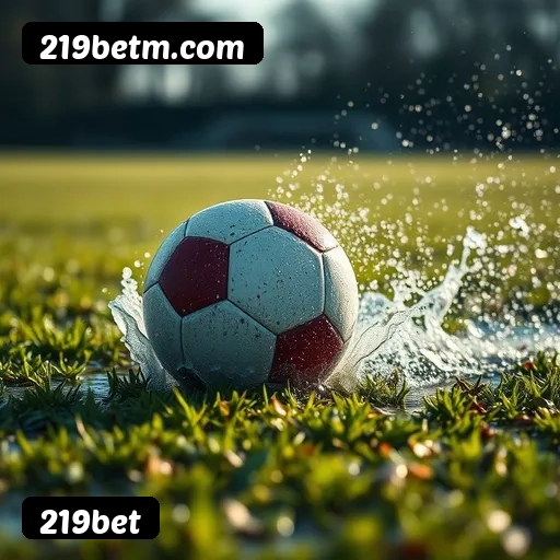 219bet APP mobile iOS Android - 187 mil downloads São Paulo Rio BH