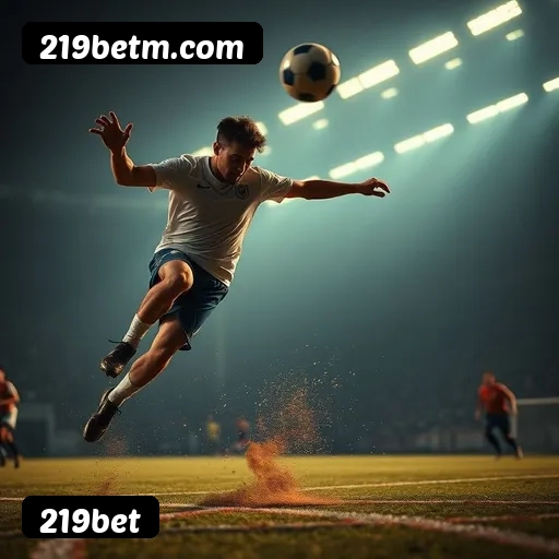 Níveis do programa VIP da 219bet